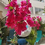 Eva Oliva 아파트 *