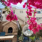 Eva Oliva * Макарска