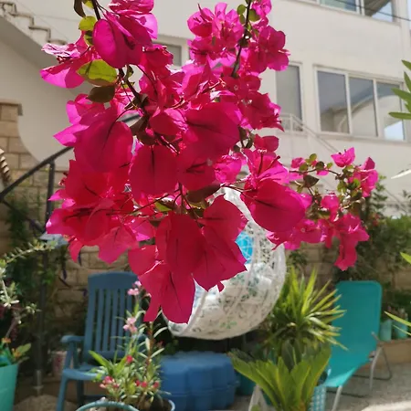 Eva Oliva Apartamento *